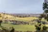 20 Belmont Avenue, Upwey, Vic 3158-Image