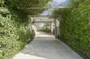20 Belmont Street, Avenel, Vic 3664-Image