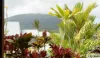 20 Bineham Street, Tully, Qld 4854-Image