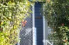 20 Birnam Street, Beaudesert, Qld 4285-Image