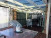 20 Border Road, Applethorpe, Qld 4378-Image
