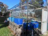 20 Border Road, Applethorpe, Qld 4378-Image