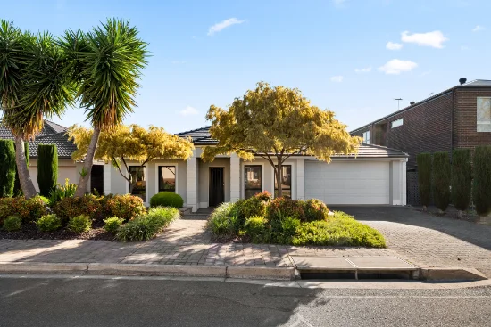 20 Borrillo Avenue, Newton, SA 5074