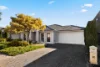 20 Borrillo Avenue, Newton, SA 5074-Image