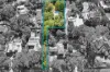 20 Boundary Road, Wahroonga, NSW 2076-Image