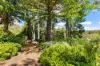 20 Bundarra Street, Blackheath, NSW 2785-Image