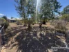 20 Burns Crescent, Wondai, Qld 4606-Image