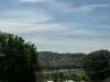 20 Camphor Lane, Gundagai NSW 2722-Image