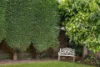 20 Carbeen Avenue, St Ives, NSW 2075-Image