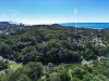 20 Carlyle Drive, Currumbin, Qld 4223-Image