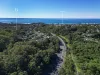 20 Carlyle Drive, Currumbin, Qld 4223-Image