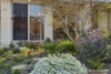 20 Charvin Court, Melba, ACT 2615-Image
