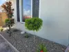 20 Chester Crescent, Andergrove, Qld 4740-Image
