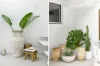 20 Close Street, South Coogee NSW 2034-Image
