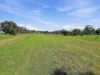 20 Coach Street, Wallabadah, NSW 2343-Image