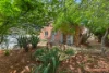 20 Corringle Close, Amaroo, ACT 2914-Image