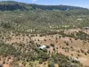 20 Cotterill Road, Ross, NT 0873-Image