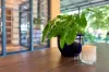 20 Cypress Road, Humpty Doo, NT 0836-Image