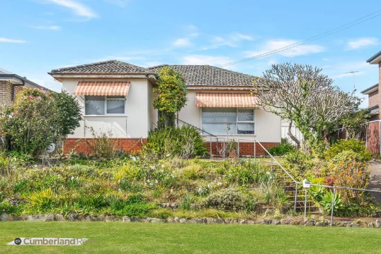 20 Daffodil Street, Greystanes, NSW 2145