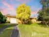 20 DARNUM STREET, Drouin, Vic 3818