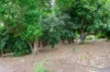 20 Delacy Street, North Ipswich, Qld 4305-Image