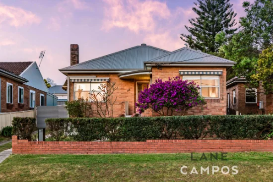 20 Delando Street, Waratah, NSW 2298