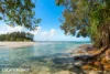 20 Donovan Close, Callala Bay, NSW 2540