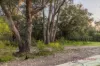 20 Ebrington Road, Wellard, WA 6170-Image