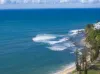 20 Edridge Street, Shelly Beach, Qld 4551-Image