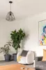 20 Elliott Street, Cheltenham, Vic 3192-Image