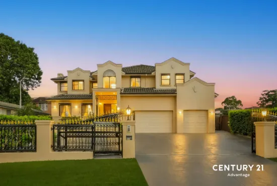 20 Ferndale Close, Constitution Hill, NSW 2145