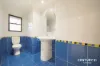 20 Ferndale Close, Constitution Hill, NSW 2145-Image