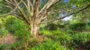 20 First Falls Lane, Eatonsville, NSW 2460-Image