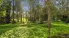 20 First Falls Lane, Eatonsville, NSW 2460-Image