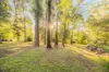 20 Florence Avenue, Emerald, Vic 3782-Image