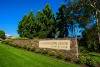 20 Forestgrove Drive, Harrington Park, NSW 2567-Image