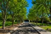 20 Forestgrove Drive, Harrington Park, NSW 2567-Image