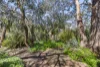 20 Fraser Avenue, Anglesea, Vic 3230-Image
