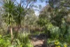 20 Fraser Avenue, Anglesea, Vic 3230-Image