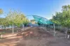 20 Giles Street, Crystal Brook, SA 5523-Image
