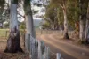 20 Gillies Road, Nubeena, Tas 7184-Image