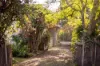 20 Glen Avenue, Unley Park, SA 5061-Image
