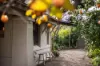 20 Glen Avenue, Unley Park, SA 5061-Image