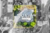 20 Golden Glen Road, Forest Hill, Vic 3131-Image