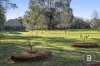 20 Gong Gong Road, Brown Hill, Vic 3350-Image