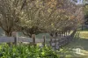 20 Gong Gong Road, Brown Hill, Vic 3350-Image