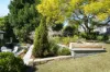 20 Griffiths Avenue, Camden South, NSW 2570-Image