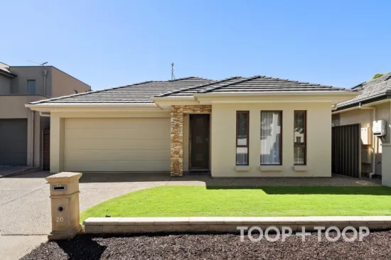 20 Haddrick Court, Underdale, SA 5032