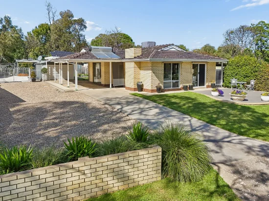 20 Hall Crescent, Old Noarlunga, SA 5168