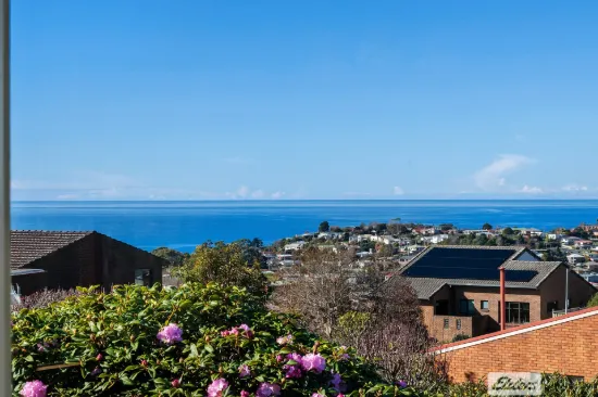 20 Hillfarm Drive, Park Grove, Tas 7320